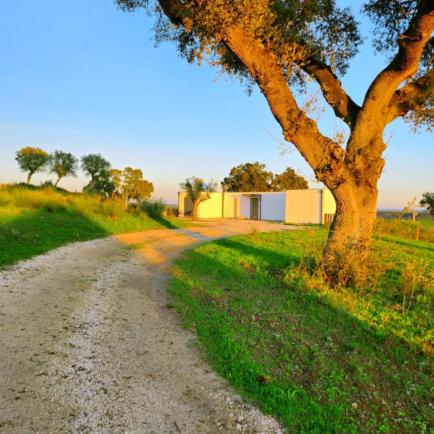 Monte Da Fifas Alentejo, Montargil Exterior foto