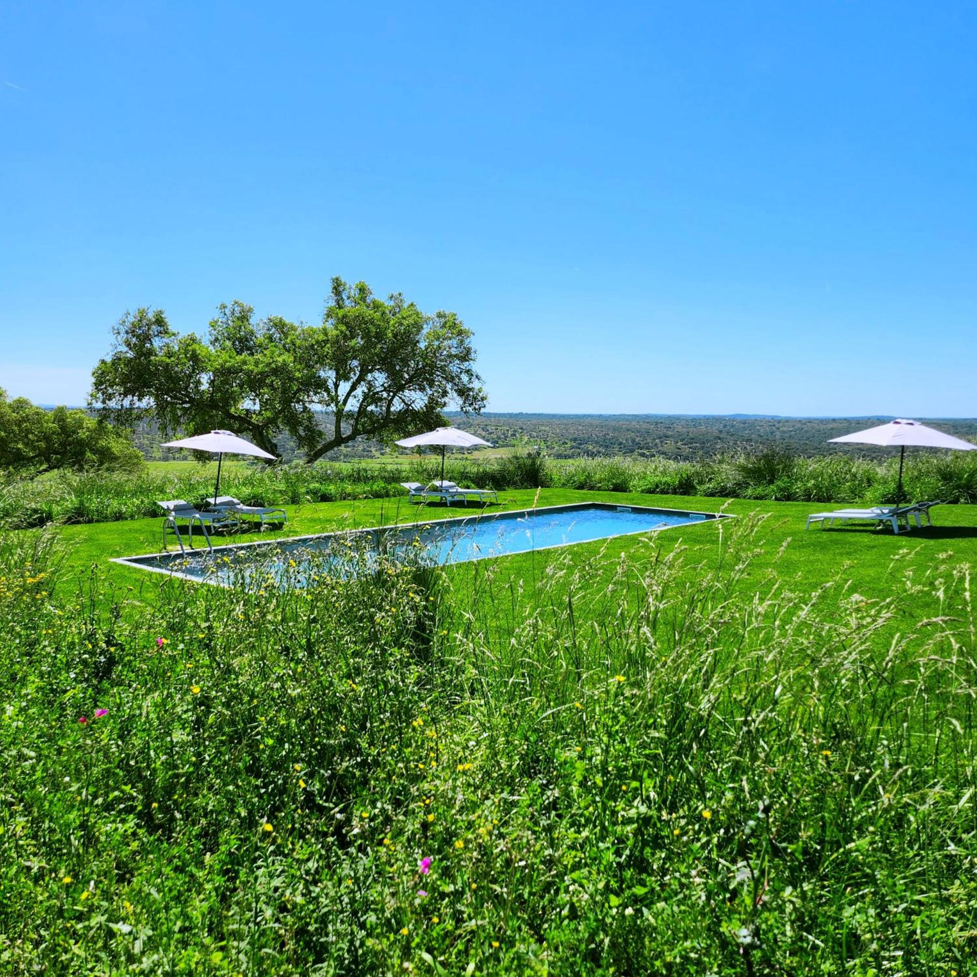 Monte Da Fifas Alentejo, Montargil Exterior foto